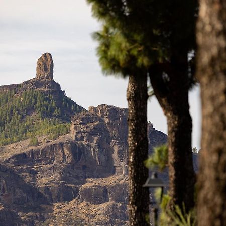 Casa Maria With Roque Nublo View Appartement Tejeda  Buitenkant foto